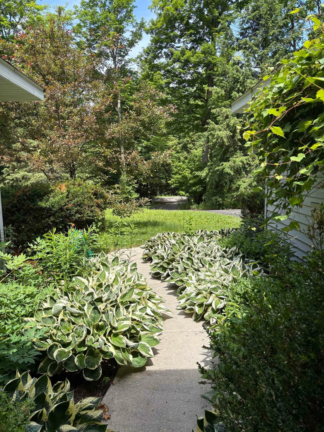 House in Traverse City, Michigan, United States 4 - 18309481