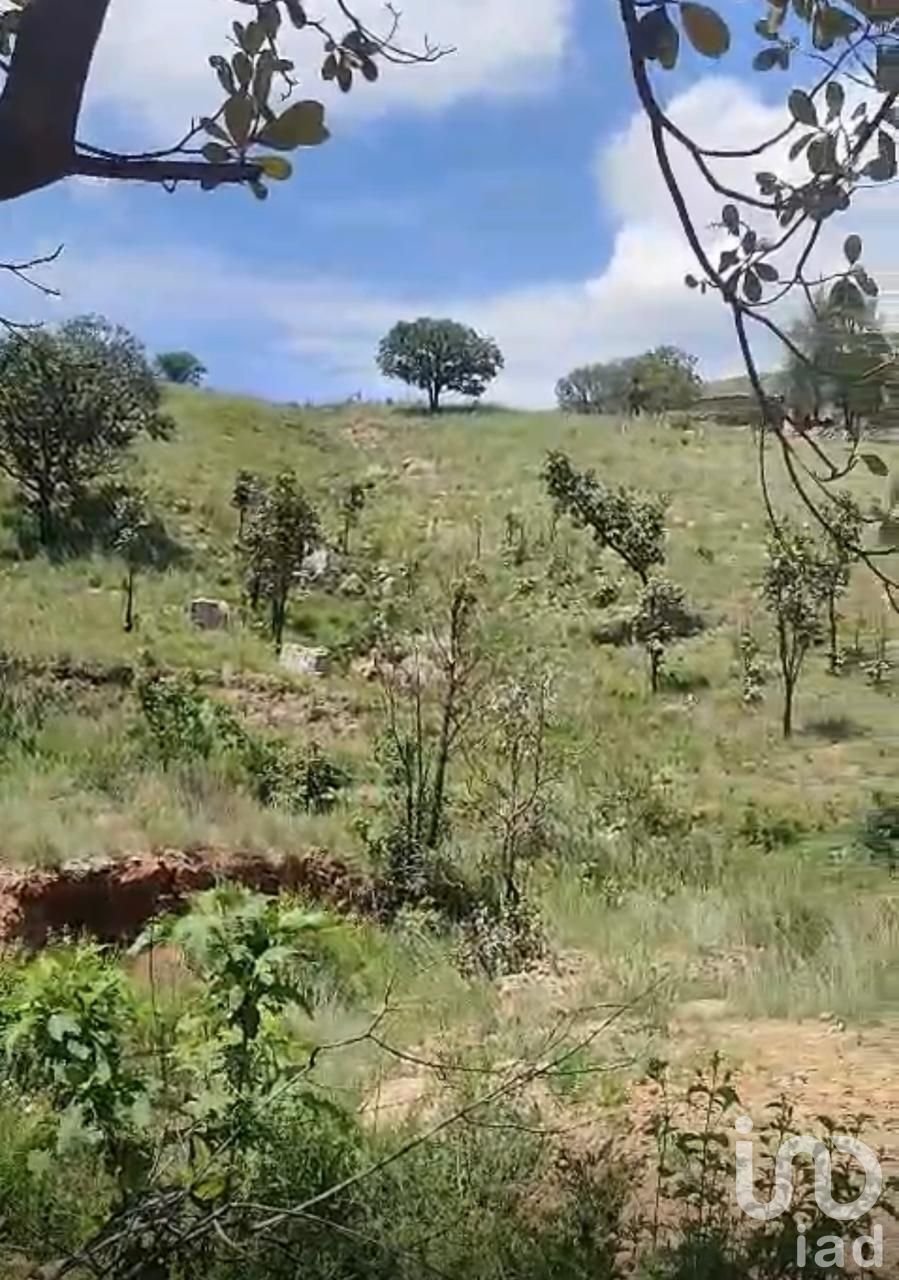 Land in Zapopan, Jalisco, Mexico 4 - 18307054