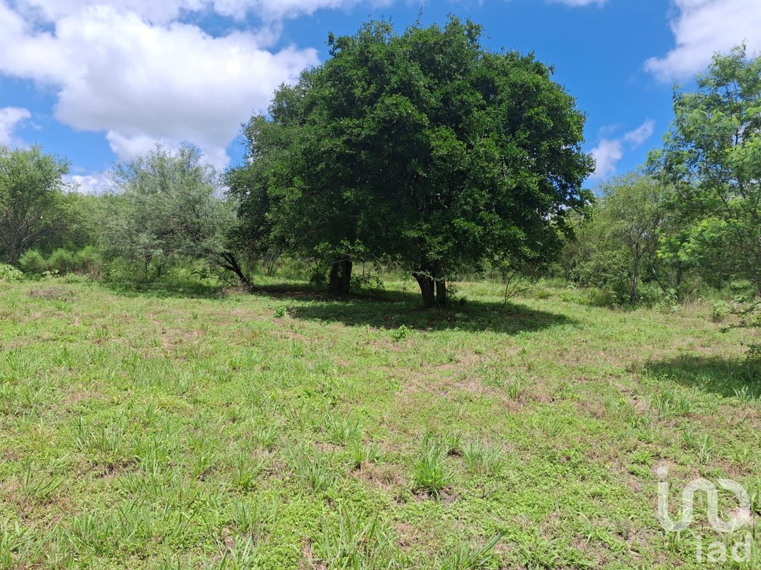 Land in El Mentidero, Nuevo Leon, Mexico 1 - 18307039