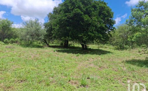 Land in Congregación Calles, Nuevo Leon, Mexico 1