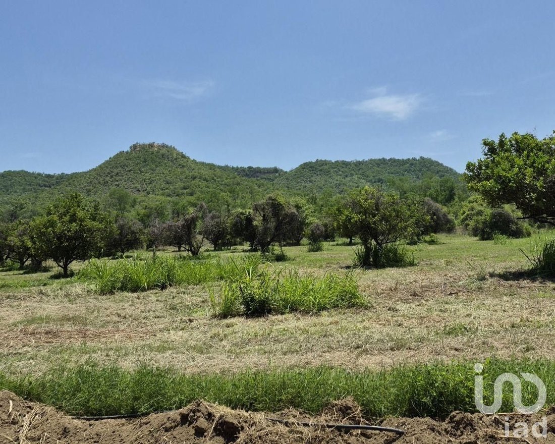 Land in El Mentidero, Nuevo Leon, Mexico 5 - 18307039