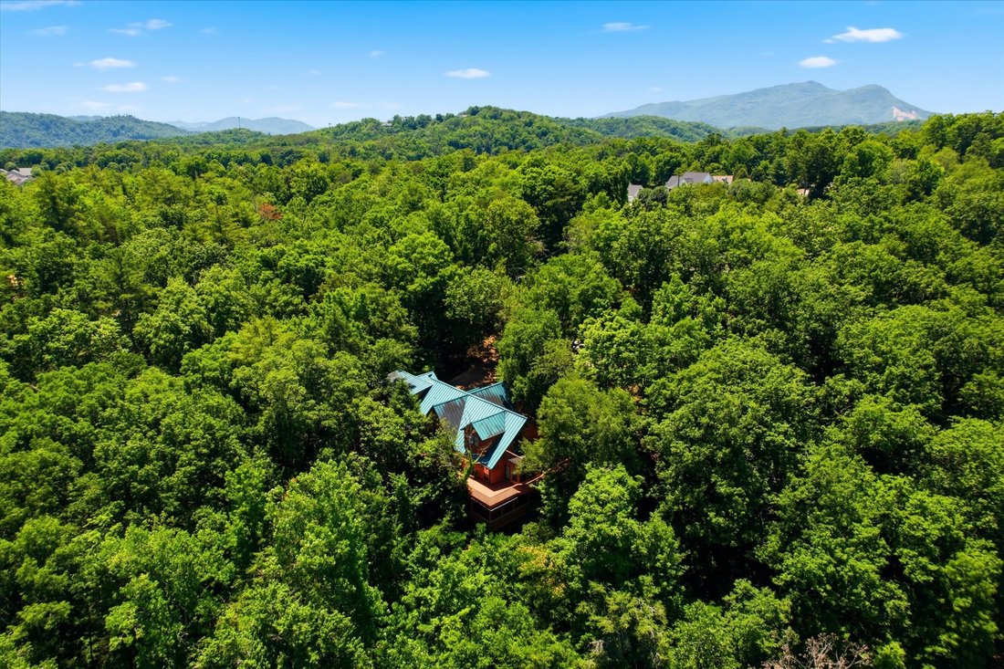 House in Pigeon Forge, Tennessee, United States 5 - 18306946