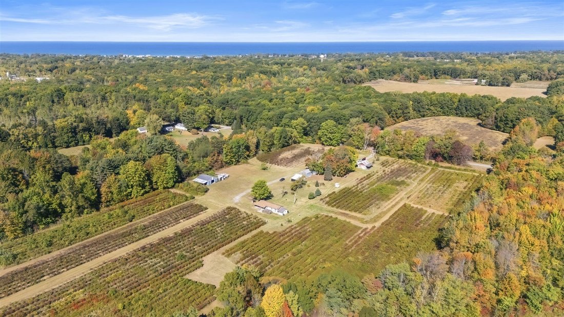 House in New Buffalo, Michigan, United States 5 - 18307494