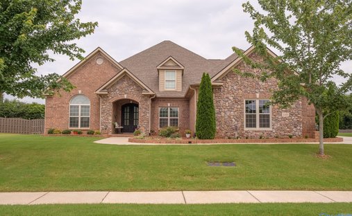 House in Madison, Alabama, United States 1