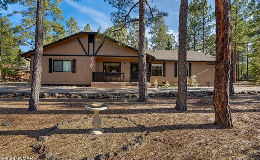 Pinetop, Arizona, United States 1