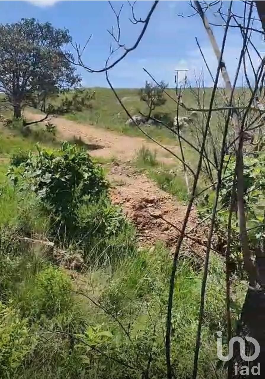 Land in Zapopan, Jalisco, Mexico 5 - 18307054
