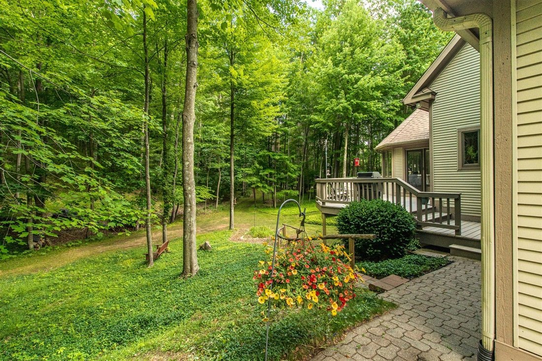 House in Chelsea, Michigan, United States 5 - 18309752