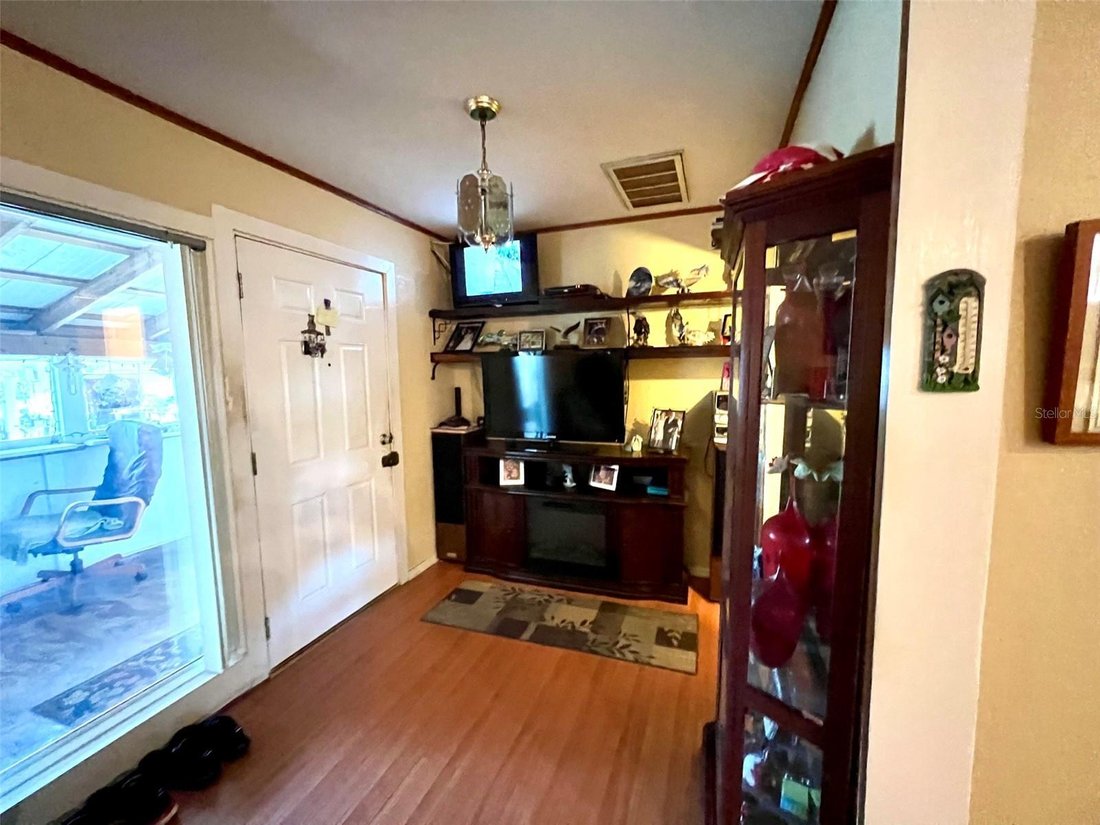House in Clearwater, Florida, United States 5 - 18306159