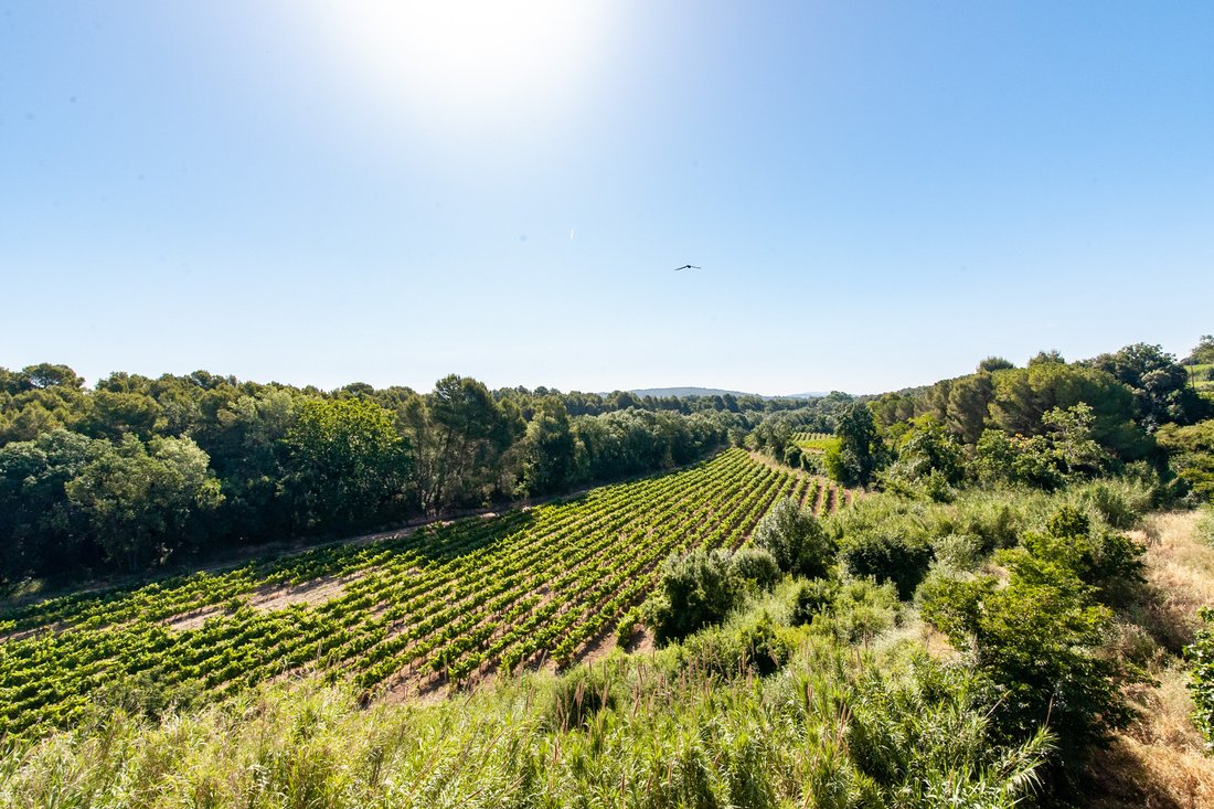 Finca in Sant Marti Sarroca, Catalonia, Spain 3 - 18315641