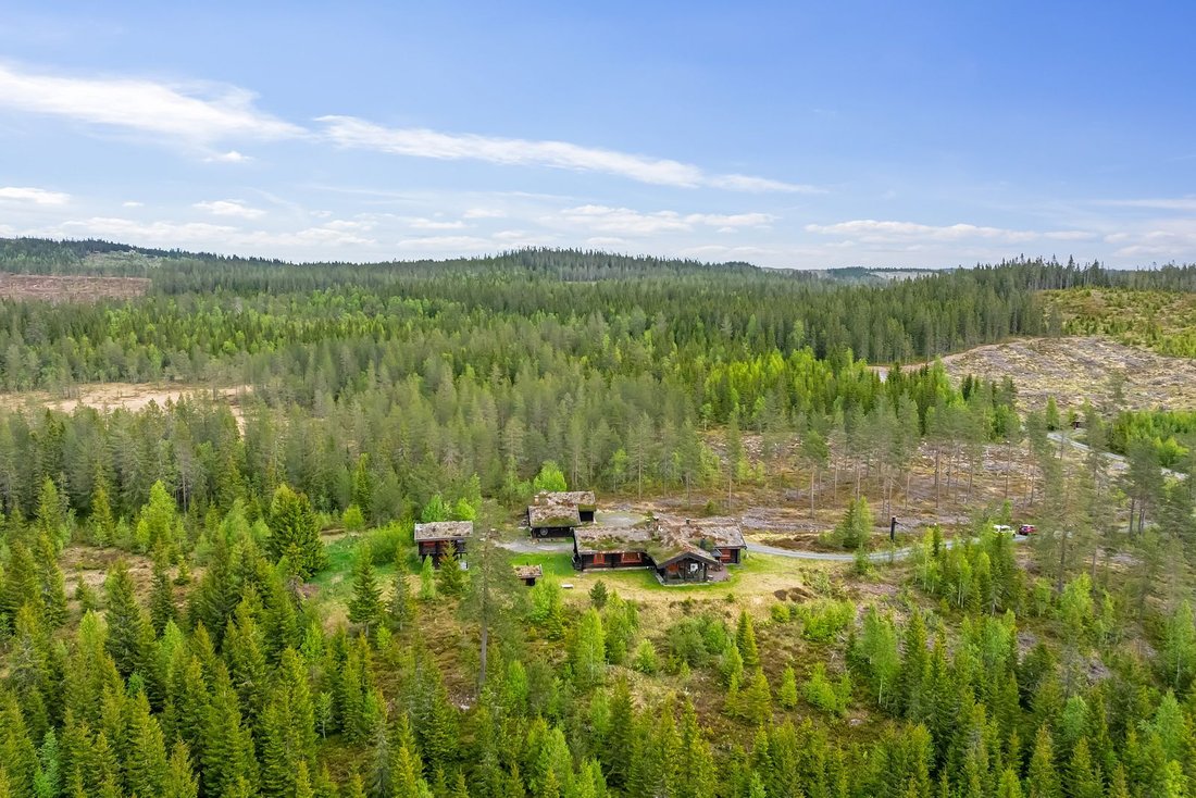 Estate in Sørskogbygda, Innlandet, Norway 3 - 18316485