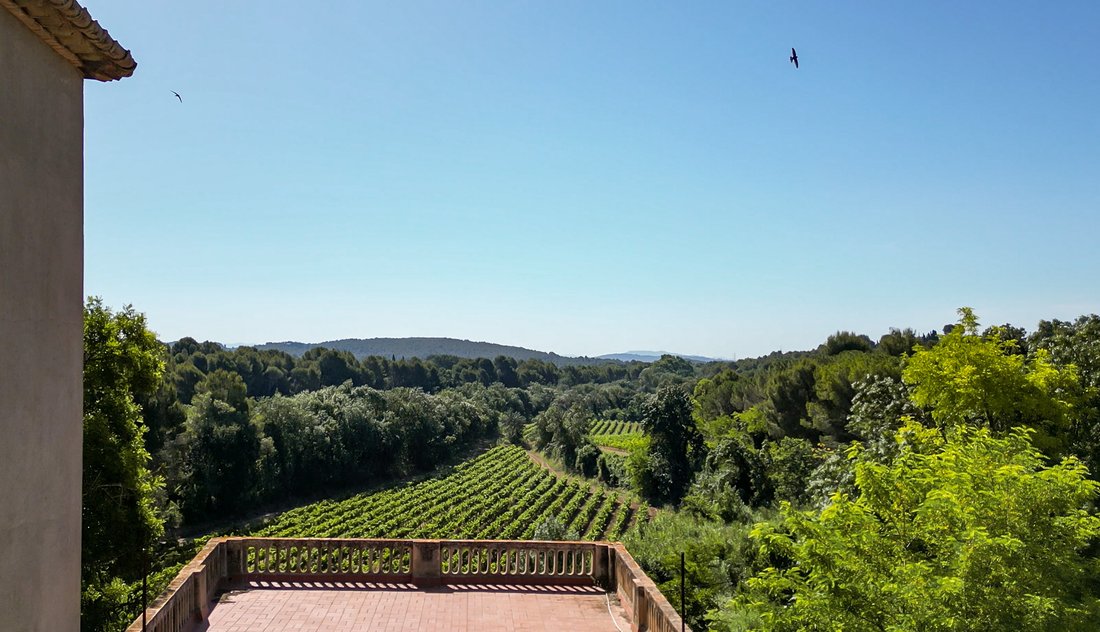 Finca in Sant Marti Sarroca, Catalonia, Spain 5 - 18315641