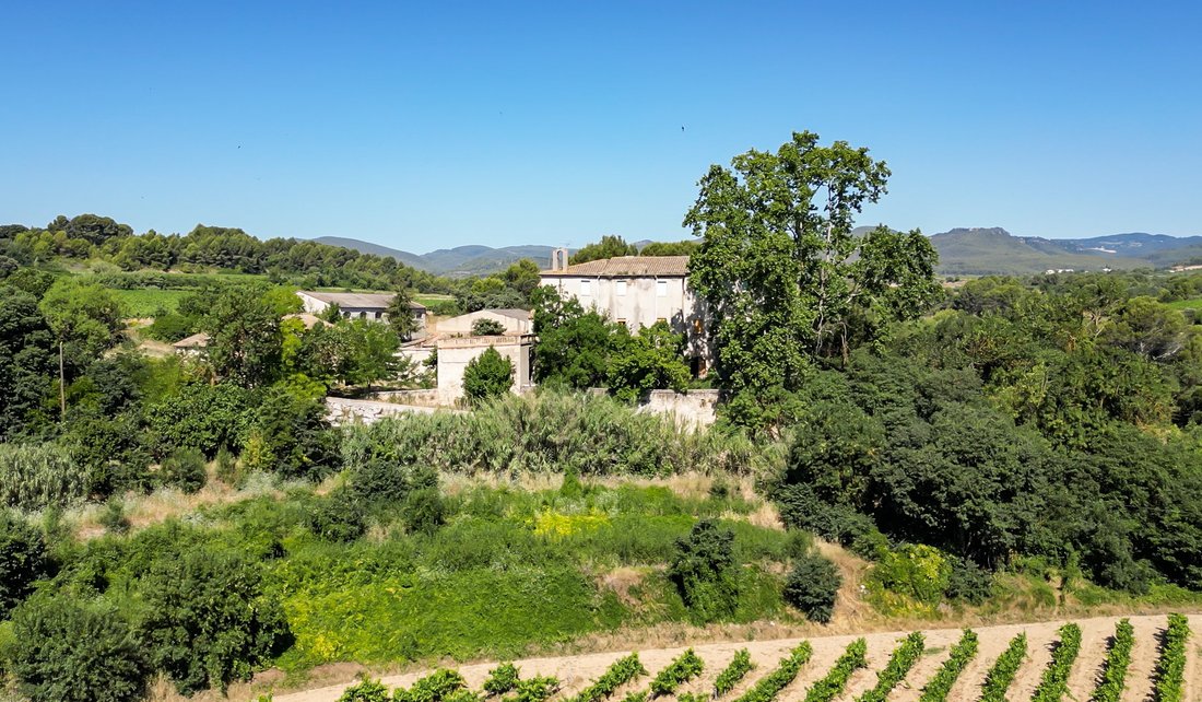 Finca in Sant Marti Sarroca, Catalonia, Spain 1 - 18315641