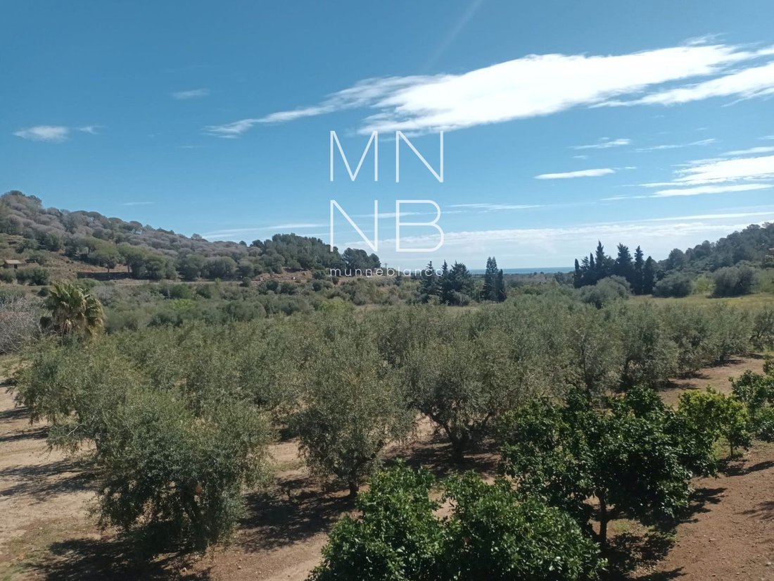 Land in Castellvell del Camp, Catalonia, Spain 1 - 18311937