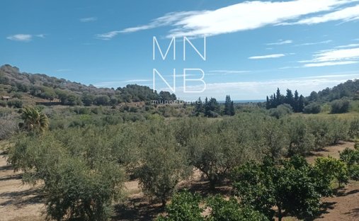 Land in Castellvell del Camp, Catalonia, Spain 1