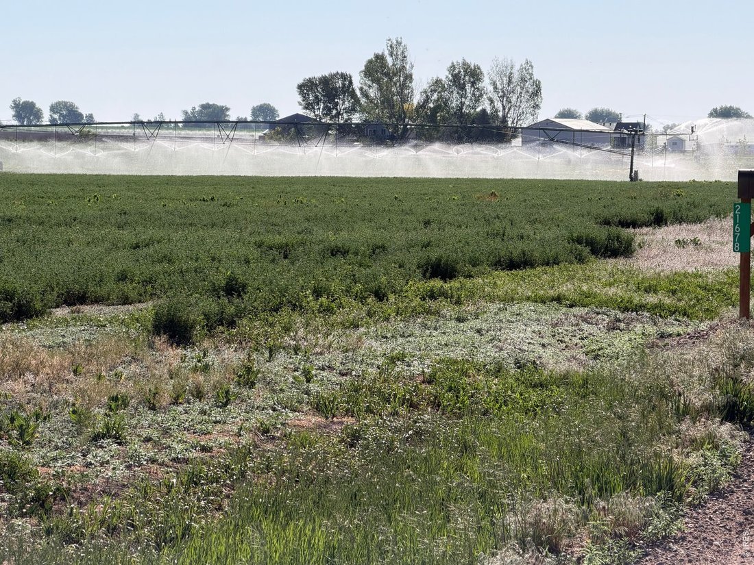 Land in Severance, Colorado, United States 2 - 18315209