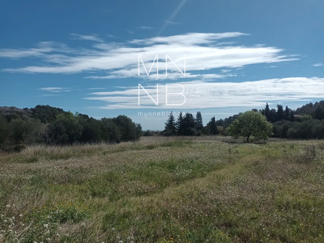 Land in Castellvell del Camp, Catalonia, Spain 4 - 18311937