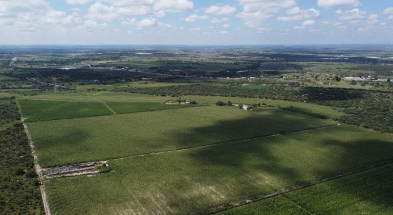 Land in Peñuelas, Aguascalientes, Mexico 3 - 18311200