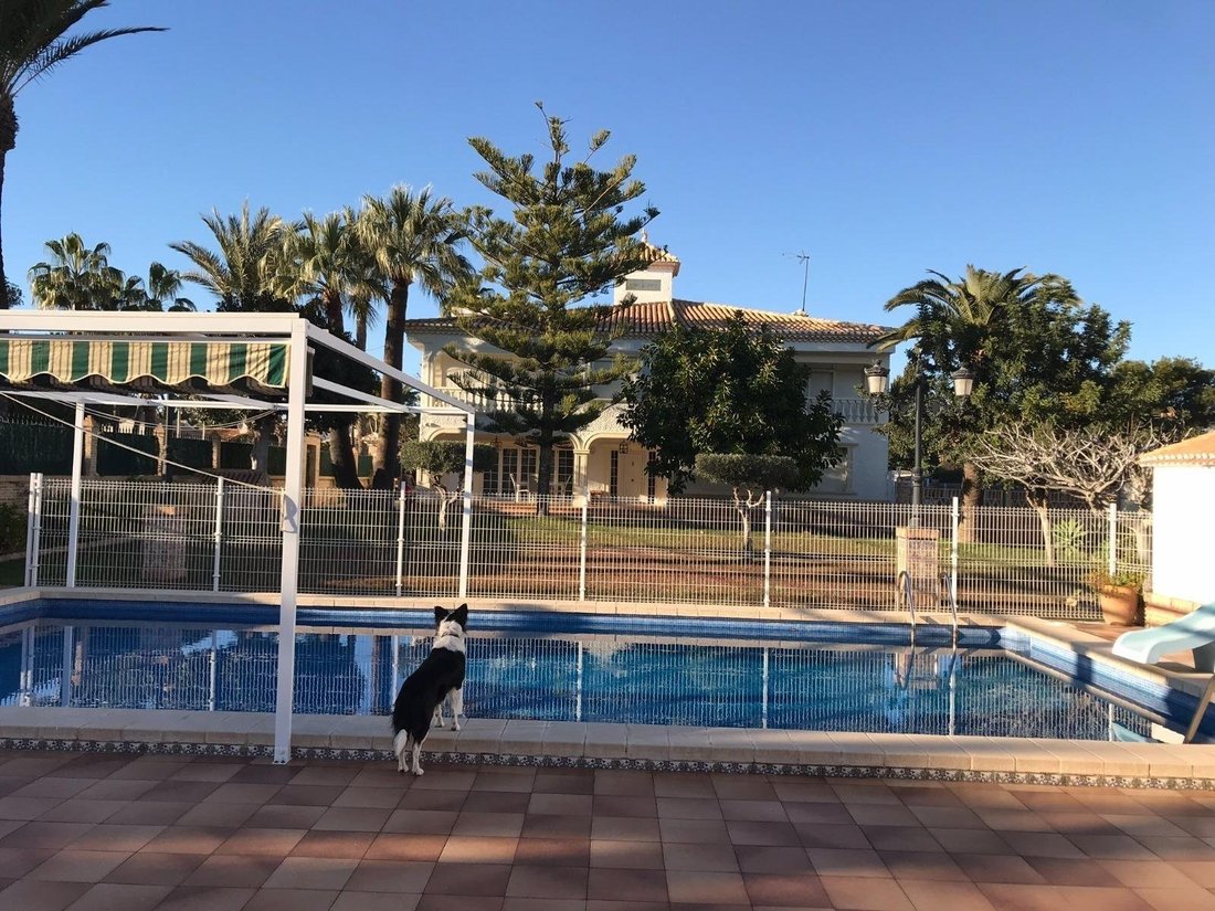 House in Cabo Roig, Orihuela, Valencian Community 3 - 18314975