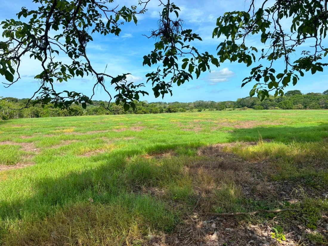 Land in Cóbano, Puntarenas Province, Costa Rica 3 - 18313530