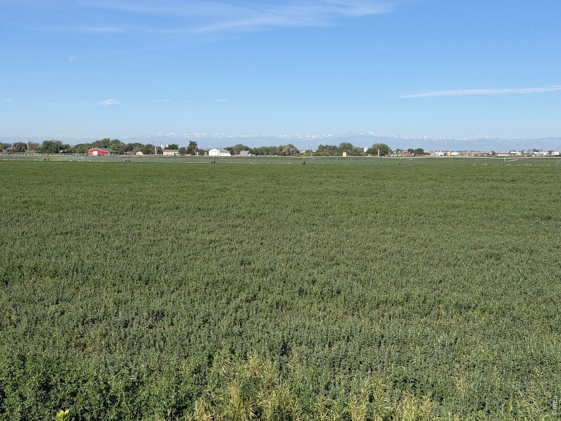 Land in Severance, Colorado, United States 5 - 18315209