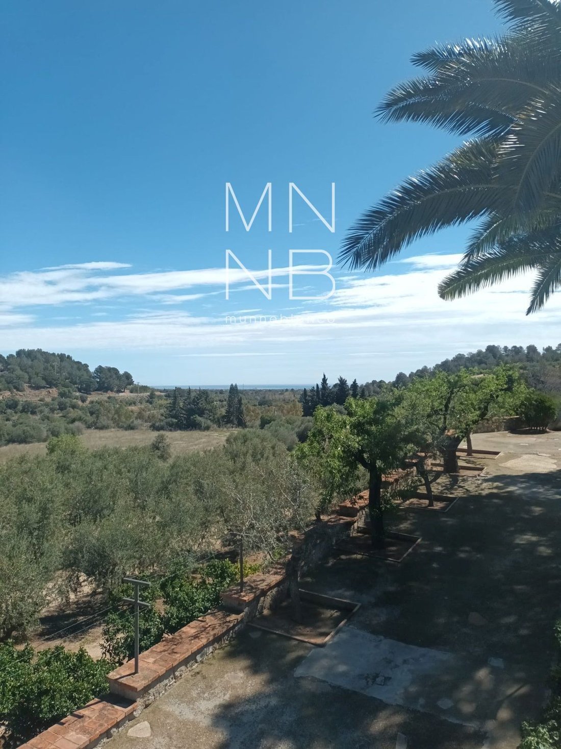 Land in Castellvell del Camp, Catalonia, Spain 2 - 18311937