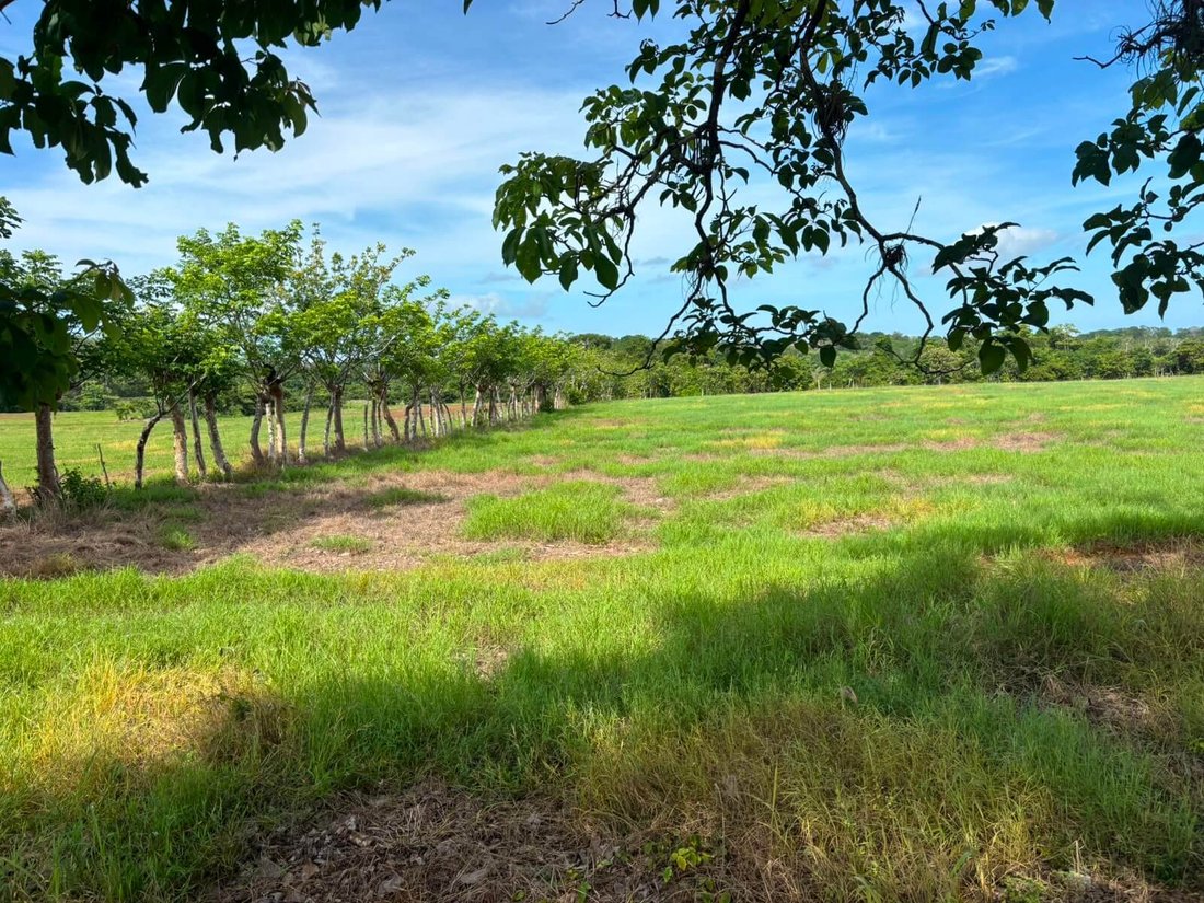 Land in Cóbano, Puntarenas Province, Costa Rica 2 - 18313530