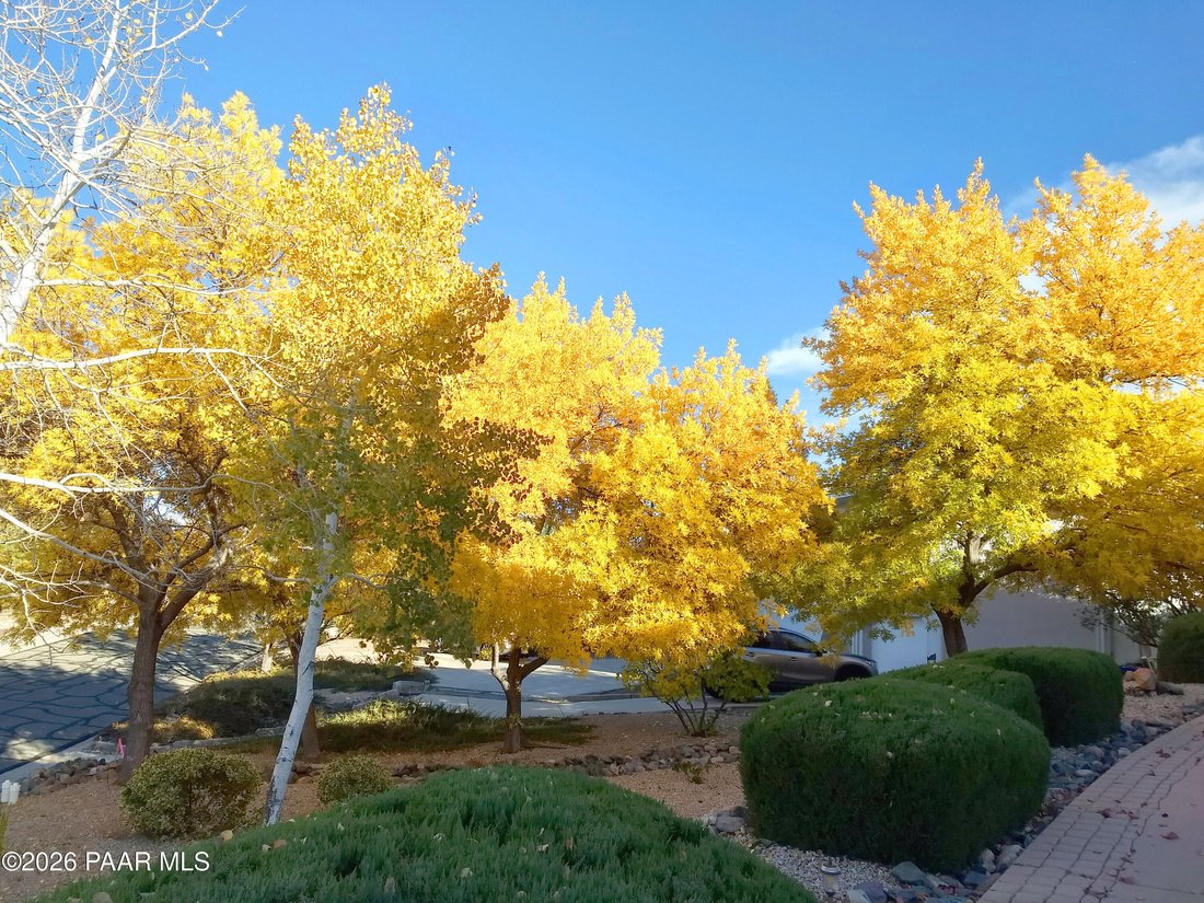 House in Prescott, Arizona, United States 4 - 18312258