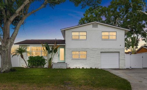 House in Tampa, Florida, United States 1