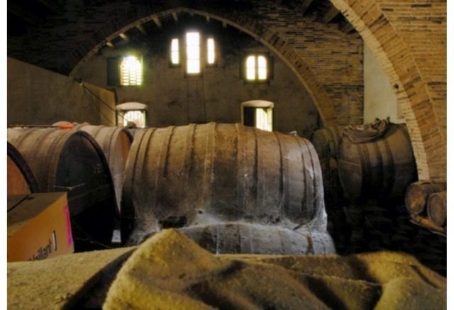 Finca in Sant Pere de Ribes, Catalonia, Spain 5 - 18312953
