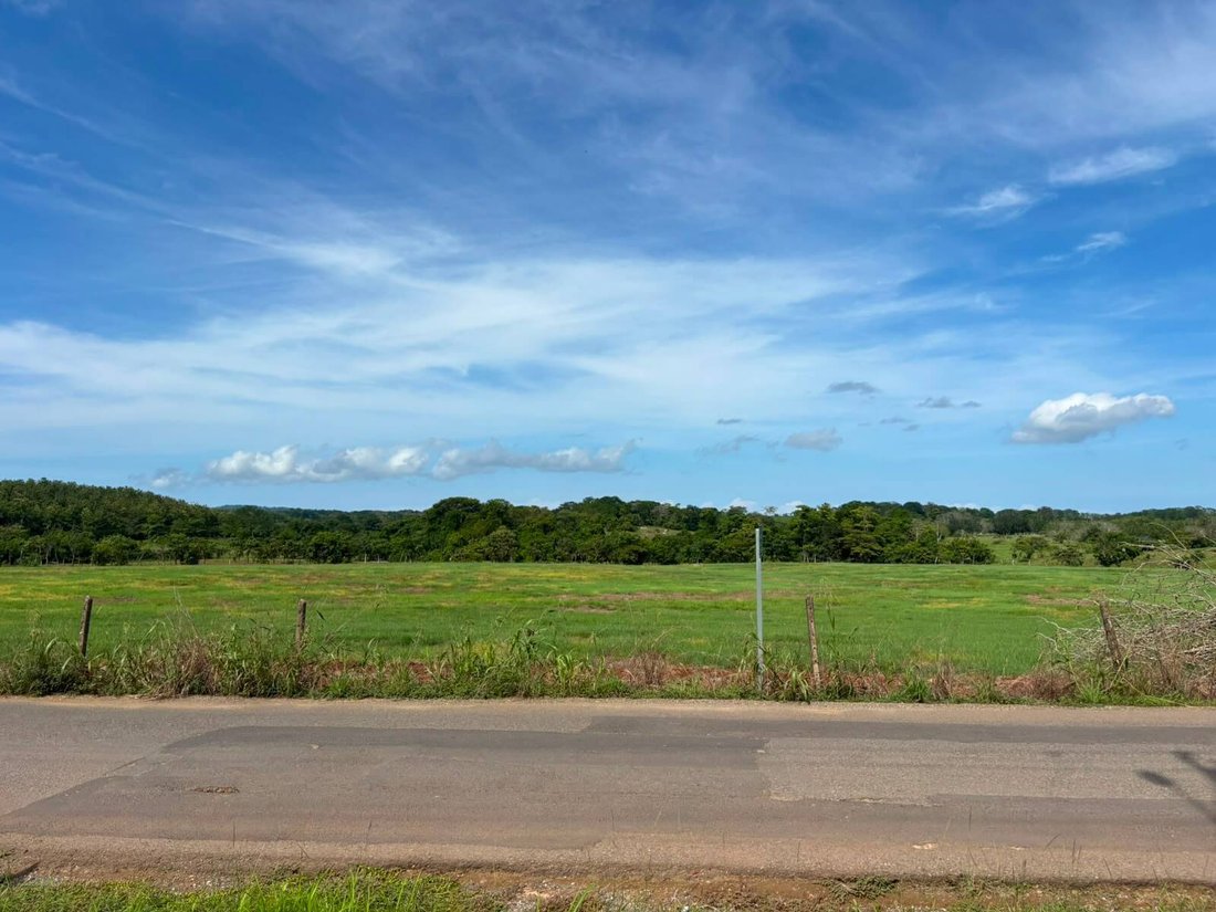 Land in Cóbano, Puntarenas Province, Costa Rica 5 - 18313530