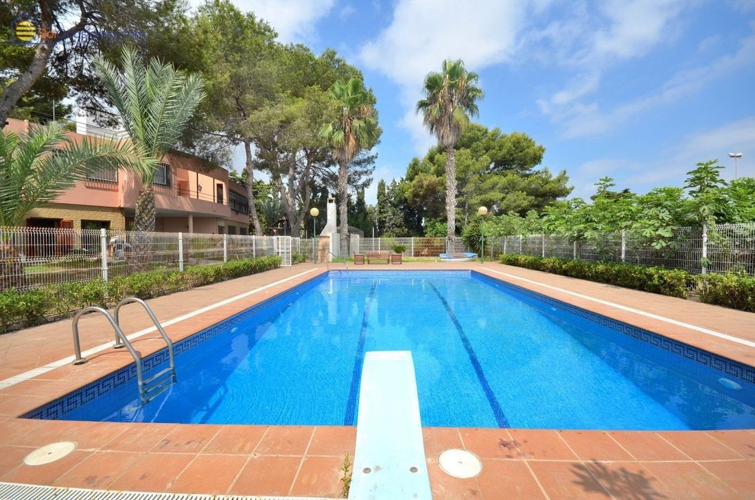 House in Torrevieja, Valencian Community, Spain 1 - 18314883