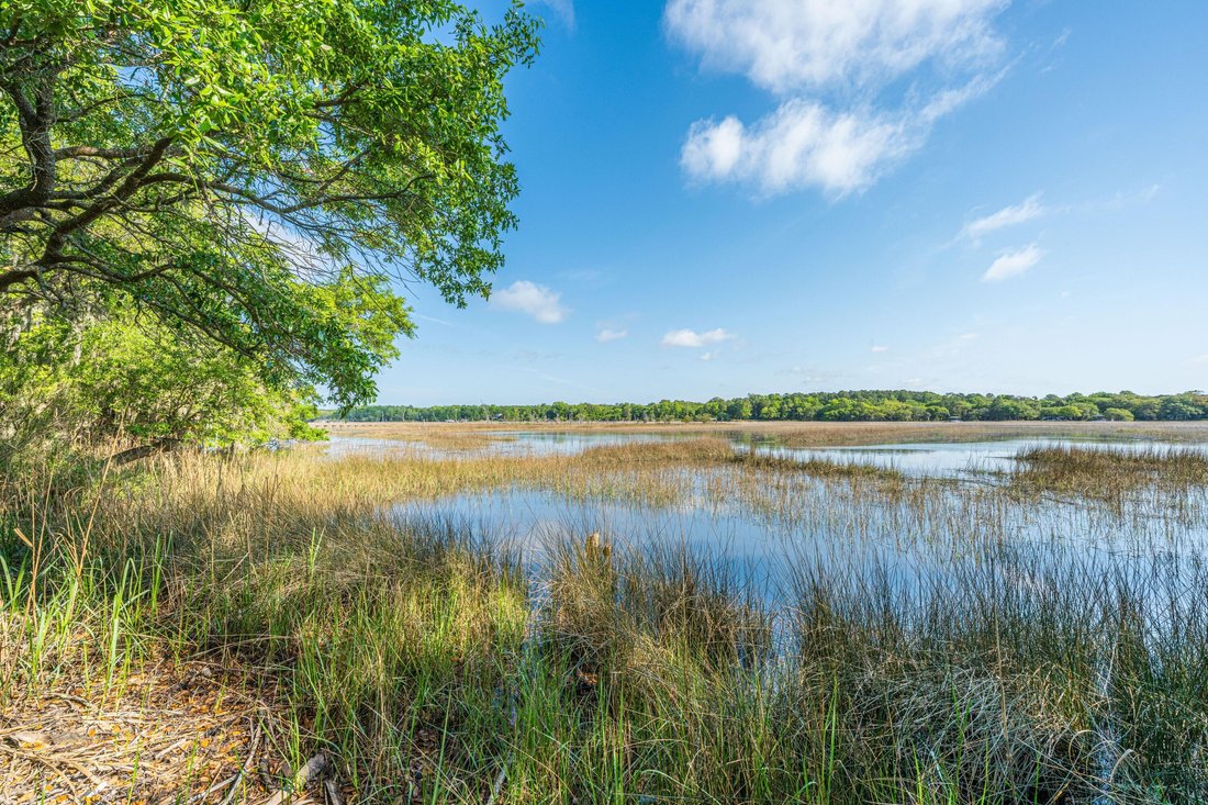 House in Ravenel, South Carolina, United States 2 - 17718589