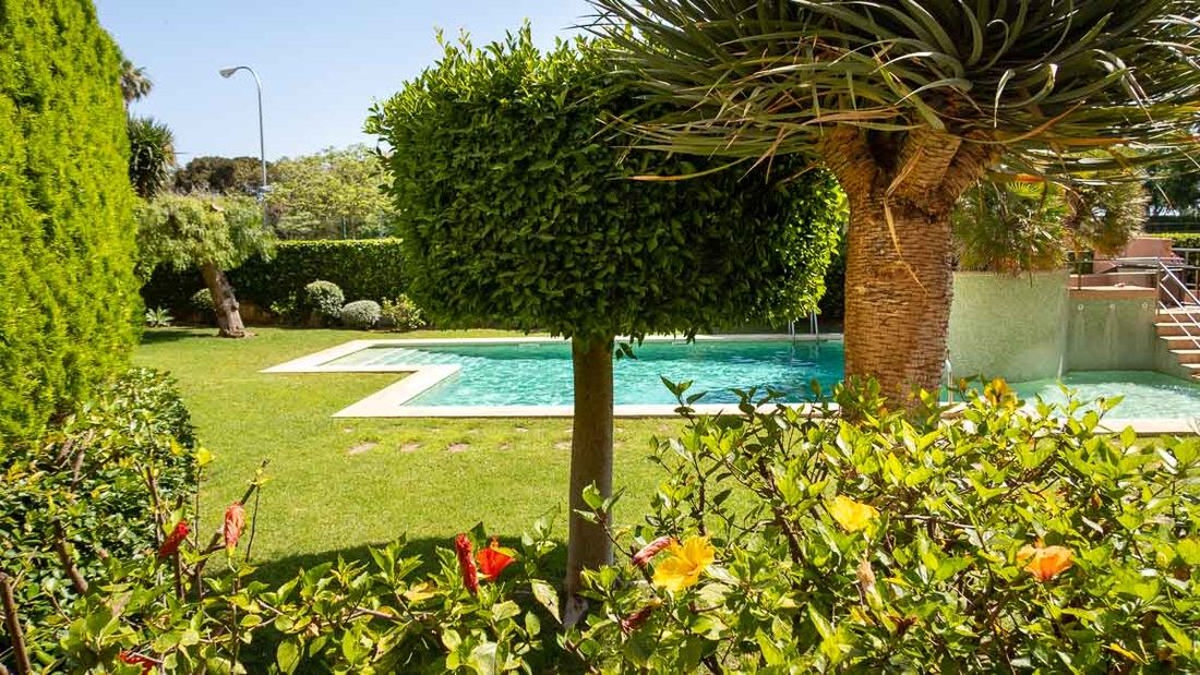 Apartment in Palma, Balearic Islands, Spain 2 - 18310318