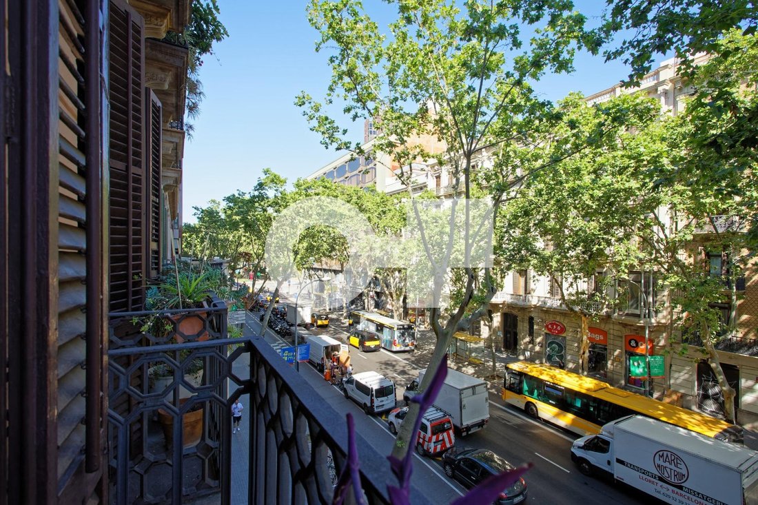 Apartment in Eixample, Barcelona, Spain 2 - 18312821