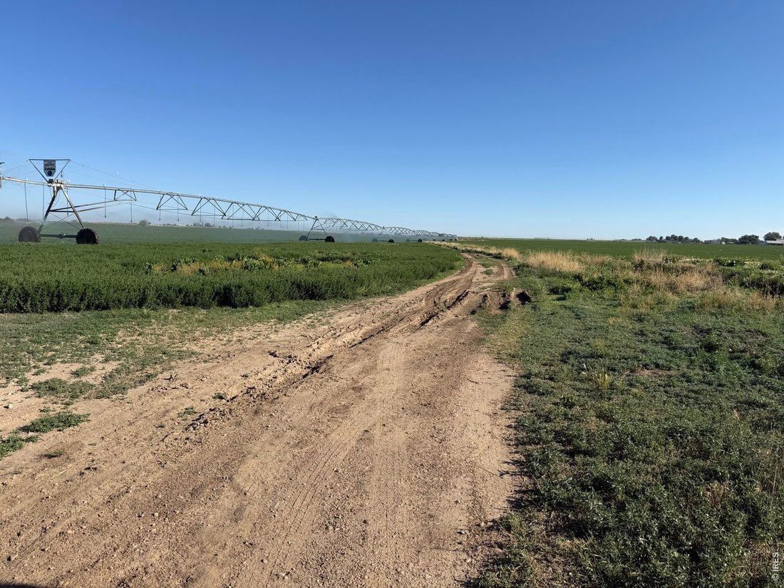 Land in Severance, Colorado, United States 4 - 18315209