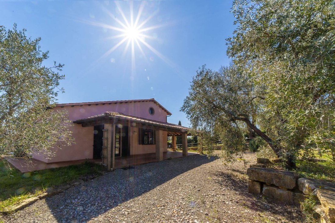 Country House in Magliano in Toscana, Tuscany, Italy 5 - 18315128