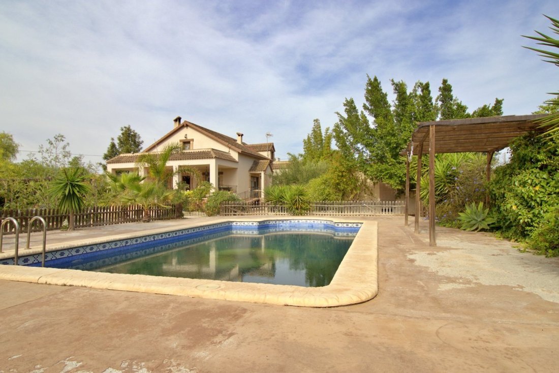 House in Elx / Elche, Valencian Community, Spain 1 - 18314578
