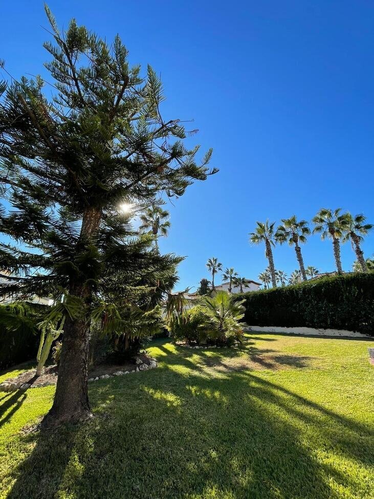 Haus in Orihuela, Land Valencia, Spanien 5 - 18314886