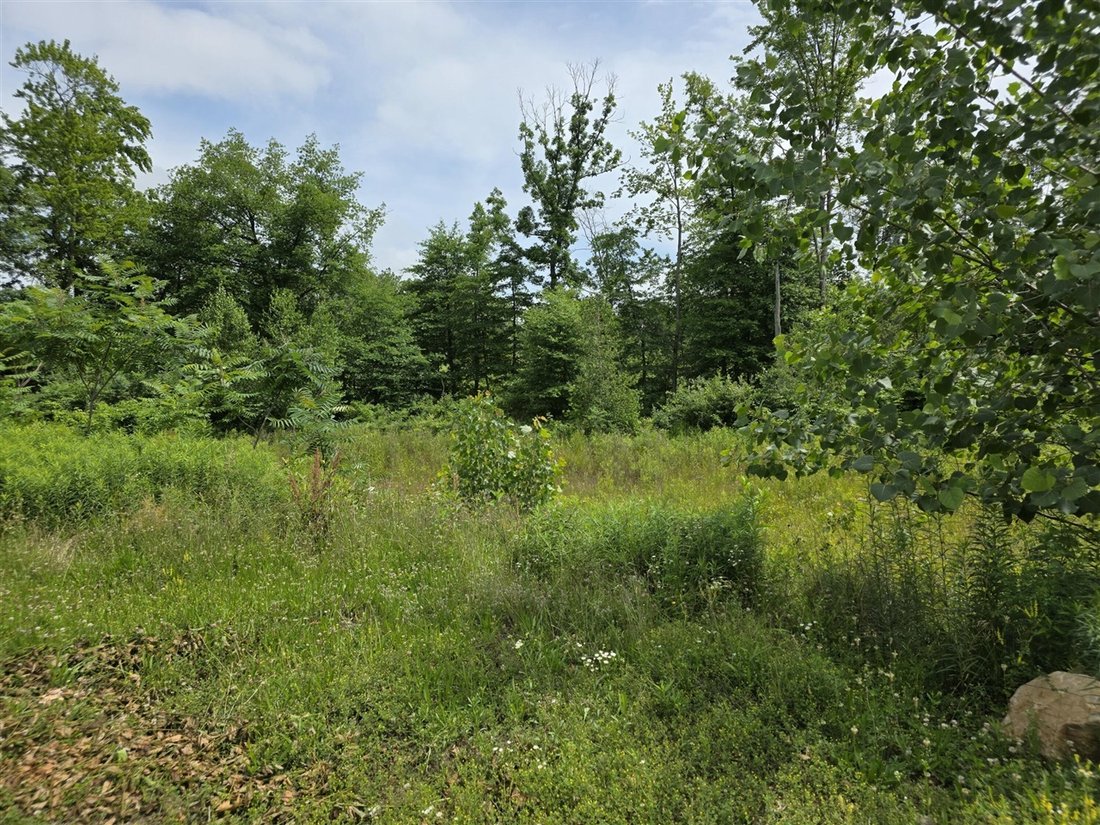 Condo in Portage, Michigan, United States 4 - 18310002