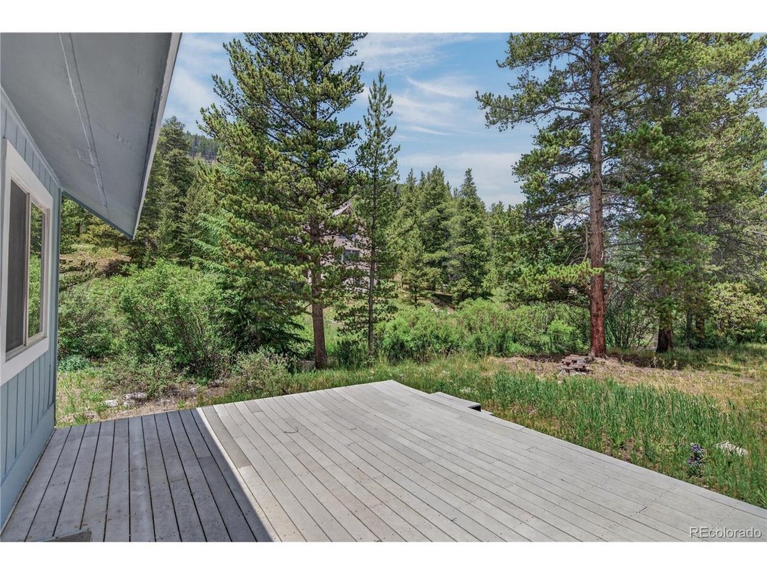 House in Breckenridge, Colorado, United States 4 - 18313197