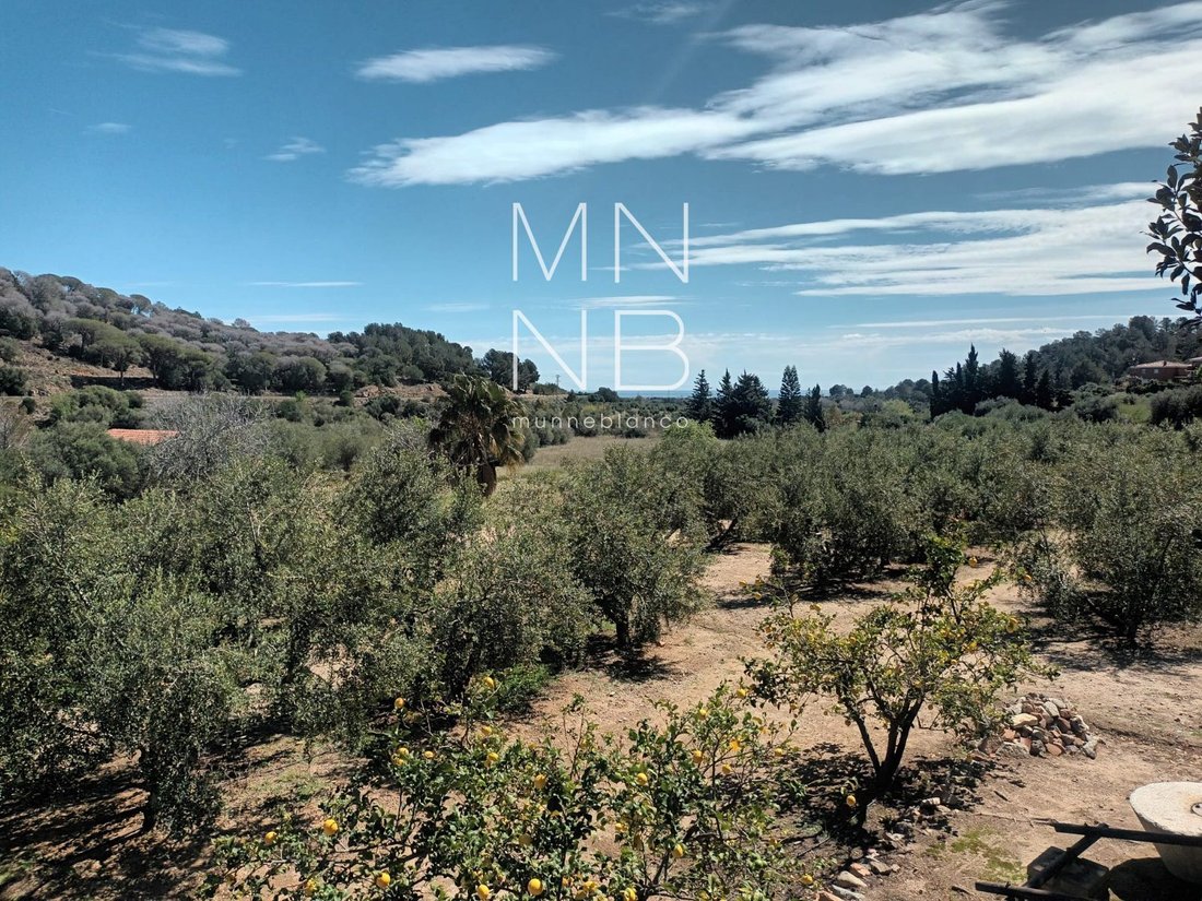 Land in Castellvell del Camp, Catalonia, Spain 3 - 18311937