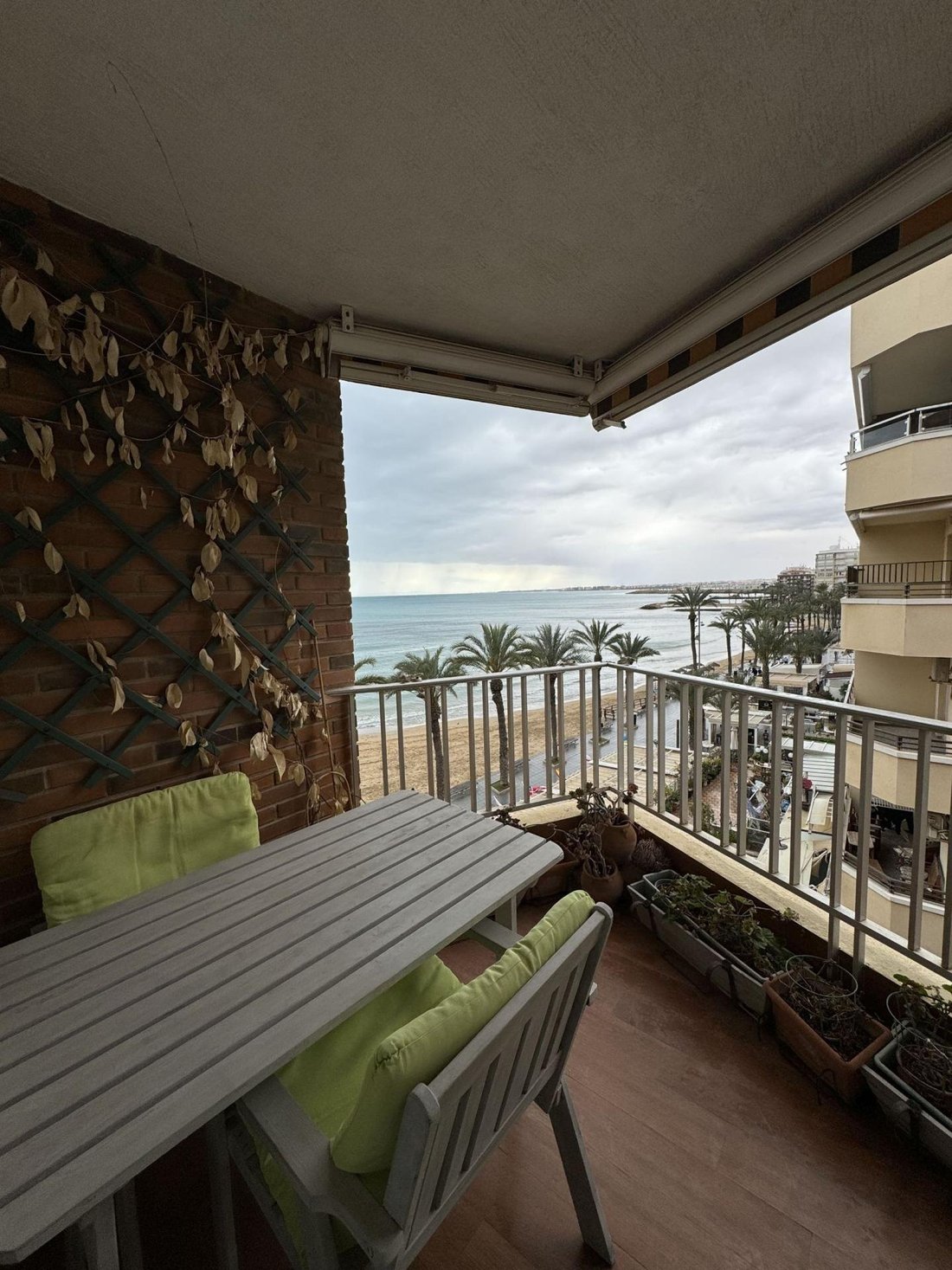 Apartment in Torrevieja, Valencian Community, Spain 1 - 18314984