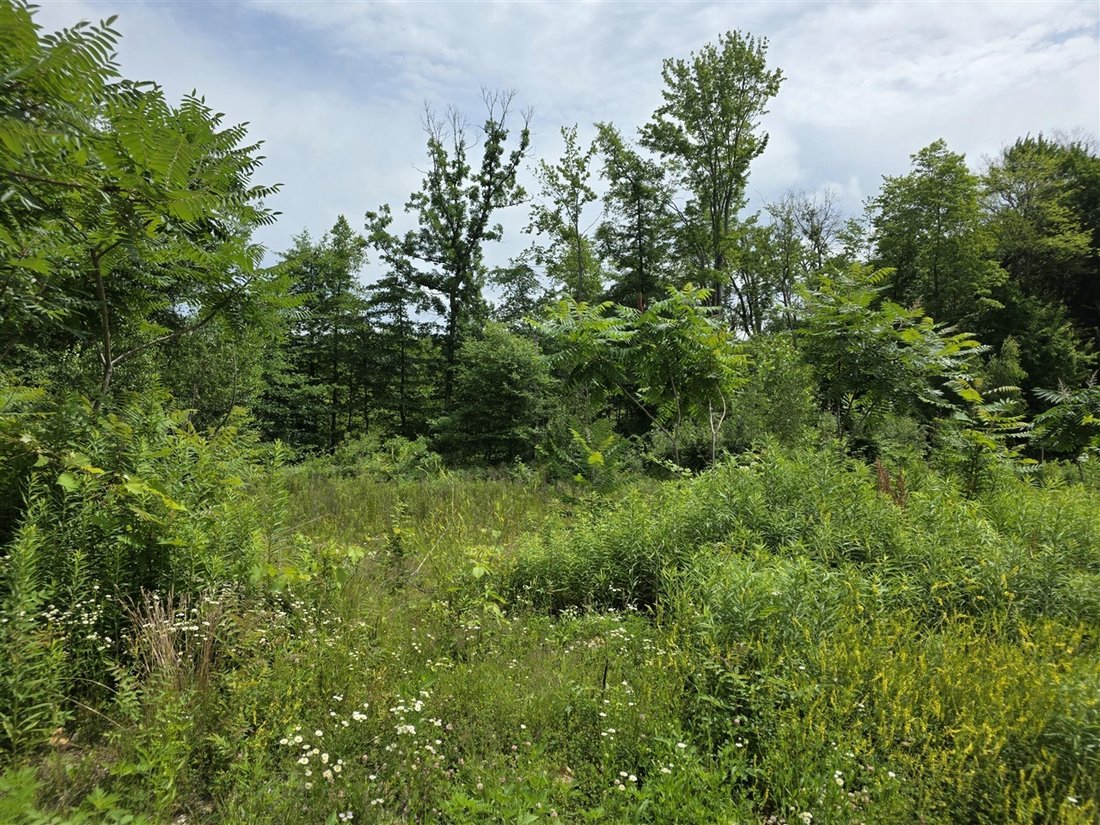 Condo in Portage, Michigan, United States 3 - 18310002