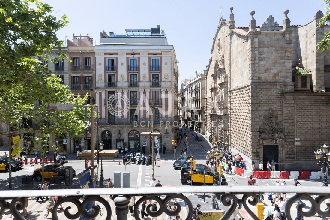 Apartment in Ciutat Vella, Barcelona, Spain 2 - 18312102