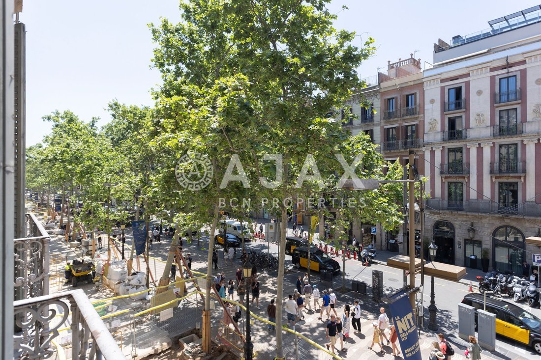Apartment in Ciutat Vella, Barcelona, Spain 4 - 18312102