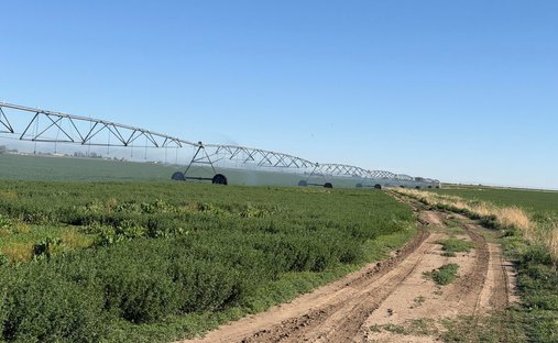 Land in Severance, Colorado, Vereinigte Staaten 1