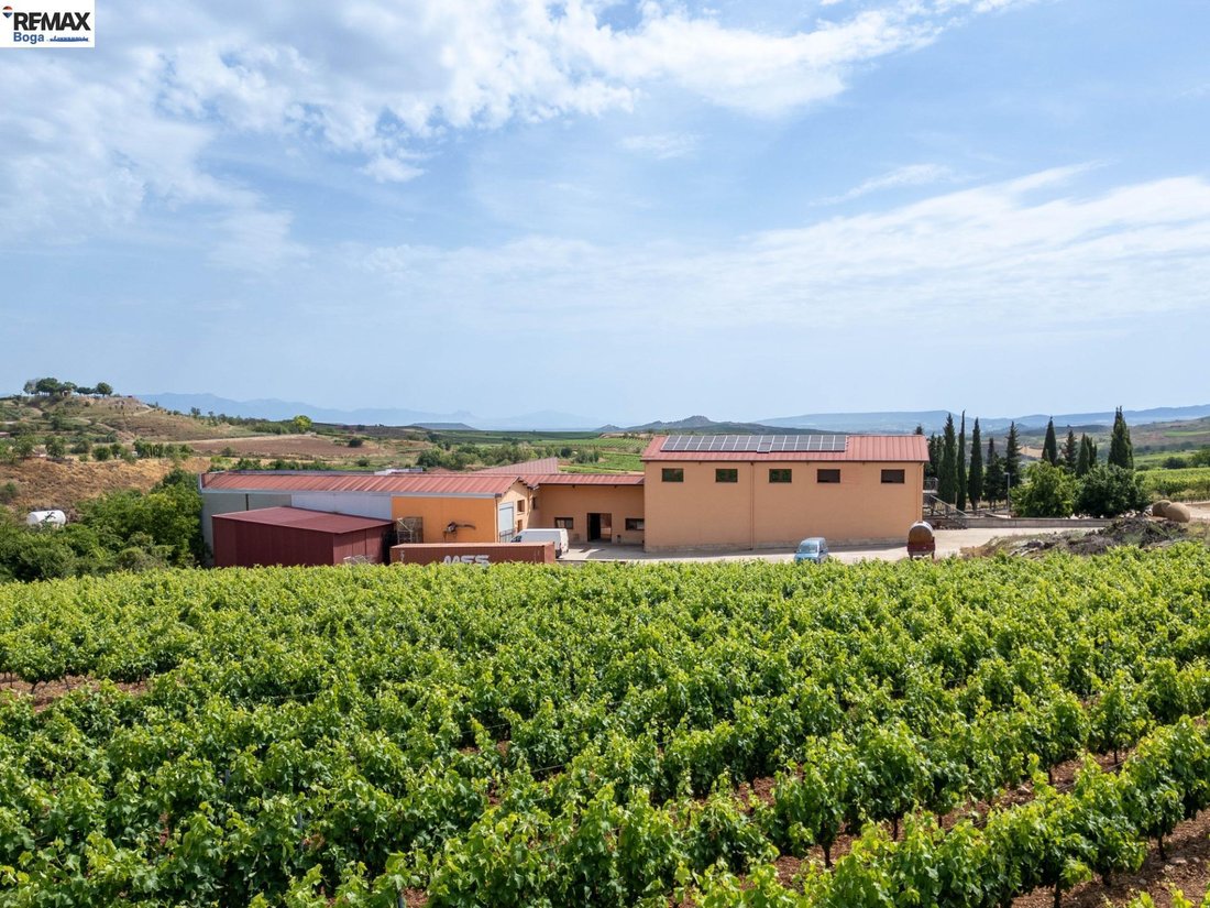 Cordovin, La Rioja, Spain 5 - 18312746