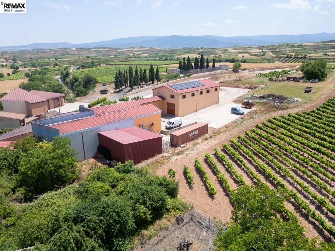 Cordovin, La Rioja, Spain 3 - 18312746