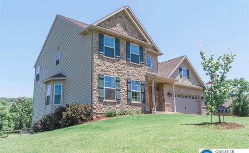 House in Mertztown, Pennsylvania, United States 1