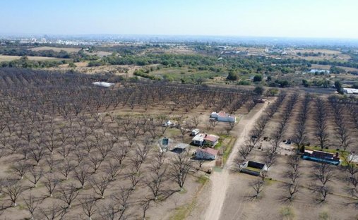 Land in Corral de Barrancos, Aguascalientes, Mexico 1